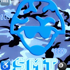 ØGS $MT