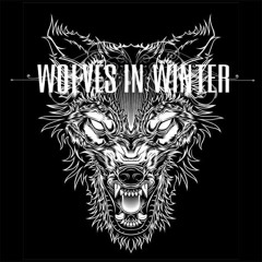 Wolves in Winter