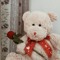sehrish saleem