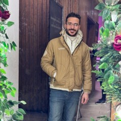 Hussein Zaher