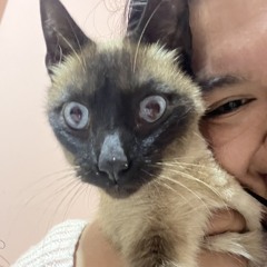 Maria Alejandra Tacuri