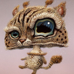chromecat