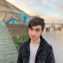 mohammed zeitouny