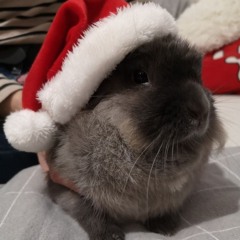 The big 1k (FLP RELEASE)