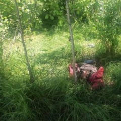 Й  🏚️  8     8  -  PĄꌚꑭ3X卍X Cꕣ*ЯPSEe ߨߌꦃï  🚾 ꆗ—Ъ