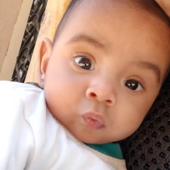 Hassan Mahmoud