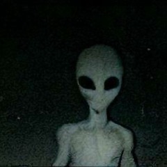 FxraonKid