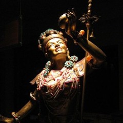 Charodey Jeddy