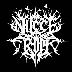 NiceTrip