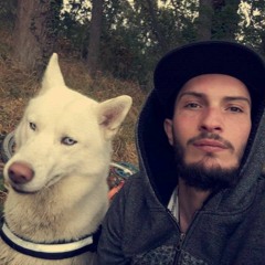 Ludo Dlx