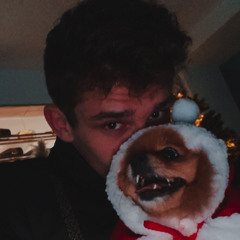 tiago pisoeiro