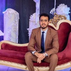 Muhammed Elsharkawy