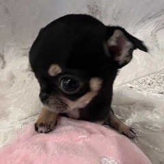 ˚₊‧꒰ა❤︎໒꒱ ‧₊