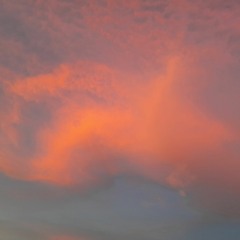 𝑀𝑖𝑐𝑘𝑒𝑦