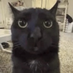 someguy