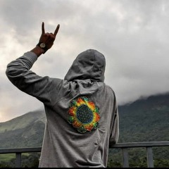 mr delic