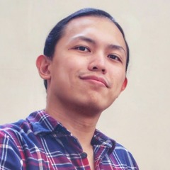 Carlo Montenegro's Portfolio