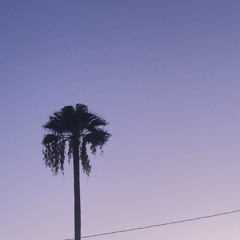Florida Ceiling