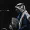 Abdulazizsaedi