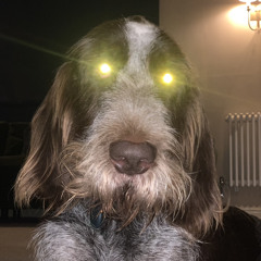 JCThunderbolt