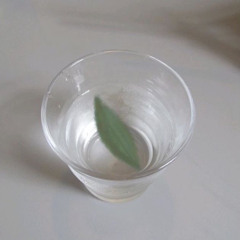 연화 年華