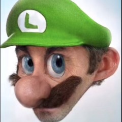 Exo Luigi