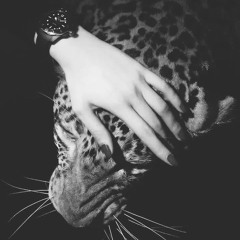 ًOctober🐆