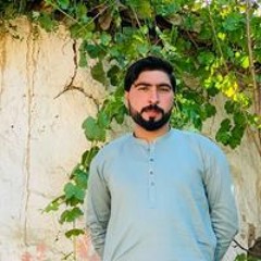 Pekhtonzalmi