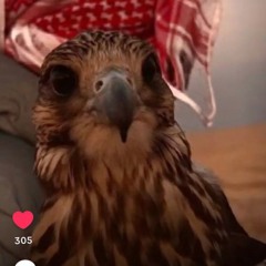 عبدالحميد المطيرى ✌🏻♥️