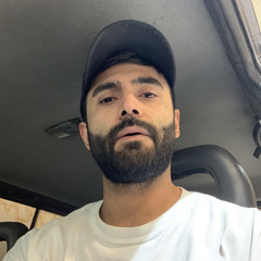 mostafa alipour