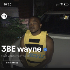 3BE WAYNE