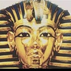 Conscious Lives Matters