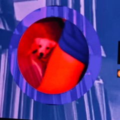 doiicie.disco