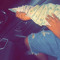 SaniW$4L🏴🏴