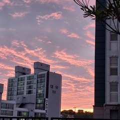 장도