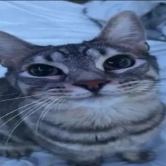 la puta personal de julián álvarez