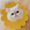 Yucy.c