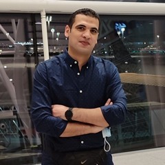 Abdelfatah Meligy