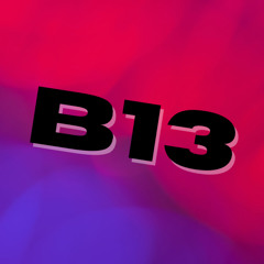 B13