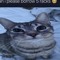 Bndrew B