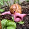 GARY THE SNAIL