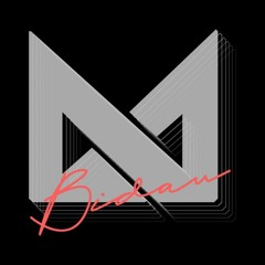 bidanvip