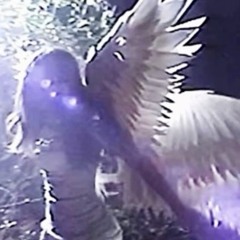 Lnb
