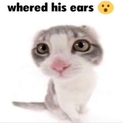 MichaelM998
