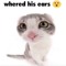 MichaelM998