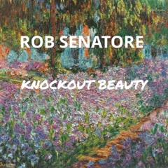 Rob Senatore
