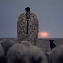 Paddy Bastard