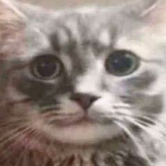 sale de mi cuenta malaya