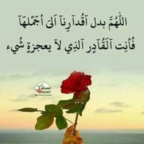Adham Mohamed’s avatar