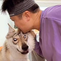 wefinnabliz